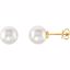 62957:2939490:P 14kt Yellow 14mm Near Round Fine South Sea Pearl Earrings