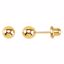 21505:2315120:P Ball Inverness Piercing Earrings