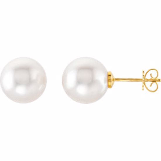 62958:2939580:P 14kt Yellow 14mm Near Round South Sea Cultured Fashion Pearl Earrings