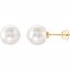 62958:2939580:P 14kt Yellow 14mm Near Round South Sea Cultured Fashion Pearl Earrings