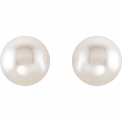 62957:2939500:P 14kt Yellow 15mm Near Round Fine South Sea Pearl Earrings