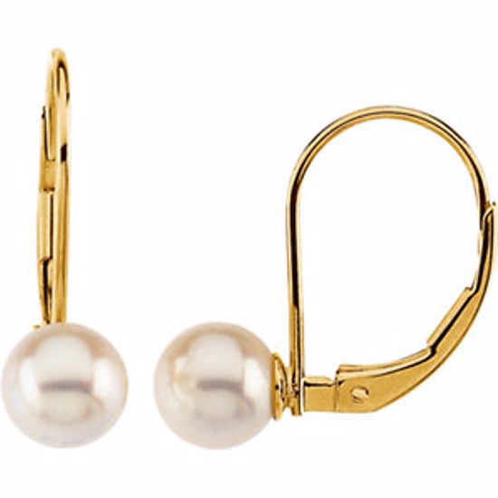 61060:2619340:P 14kt Yellow 6mm Round Akoya Cultured Pearl Lever Back Earrings