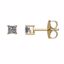 62866:2797110:P 14kt Yellow 1/4 CTW Diamond Earrings
