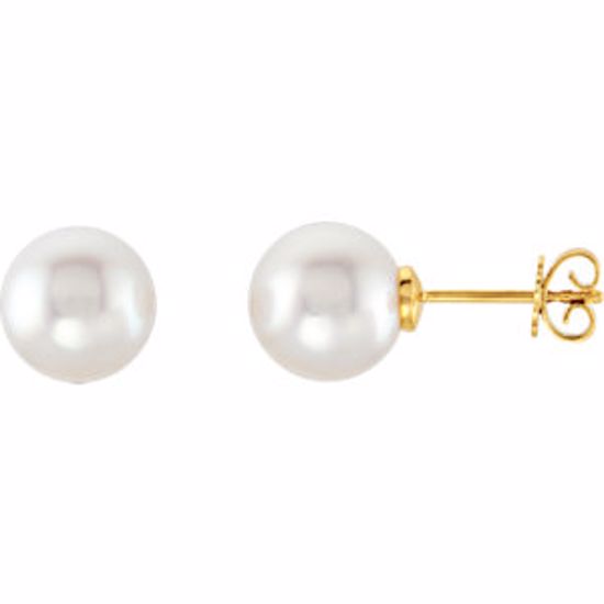 62957:2939470:P 14kt Yellow 12mm Near Round Fine South Sea Pearl Earrings