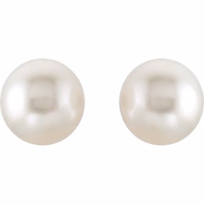 62955:2939370:P 18kt Yellow 15mm South Sea Cultured Pearl Earrings 