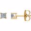 62866:2797480:P 14kt Yellow 1/3 CTW Diamond Earrings