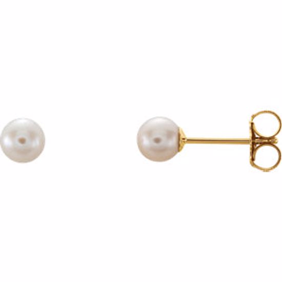 61103:2521450:P 14kt Yellow 4mm White Akoya Cultured Pearl Earrings