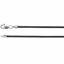 CH613:298813:P 14kt White 1.5mm Black Leather 18" Cord