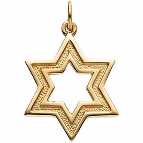 R41659:60001:P 14kt Yellow 20.25x18mm Star of David Pendant