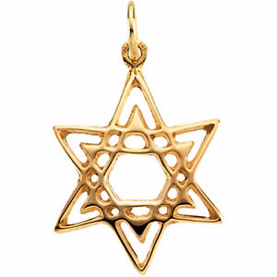 R41666:60001:P 14kt Yellow 18.5x16.25mm Star of David Pendant