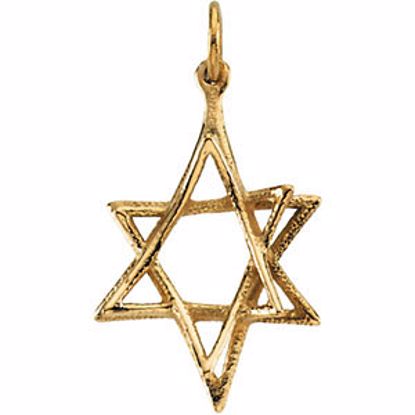 R41674:60001:P 14kt Yellow 20.75x15.25mm Star of David Pendant