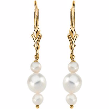 65766:60001:P Freshwater Cultured Pearl Earrings