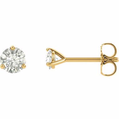 65782:600012:P 14kt Yellow 4mm Round Charles & Colvard Moissanite® Earrings 