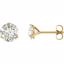 65782:60018:P 14kt Yellow 6mm Round Charles & Colvard Moissanite® Earrings 