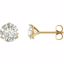 65782:60022:P 14kt Yellow 6.5mm Round Charles & Colvard Moissanite® Earrings 