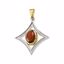 65979:60001:P Sterling Silver & 14kt Yellow Mozambique Garnet Pendant