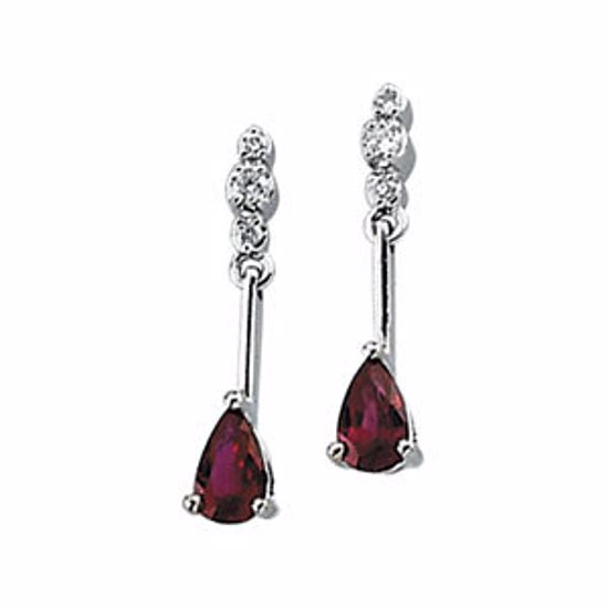 65694:60003:P 14kt White .05 CTW Diamond & Ruby Earrings