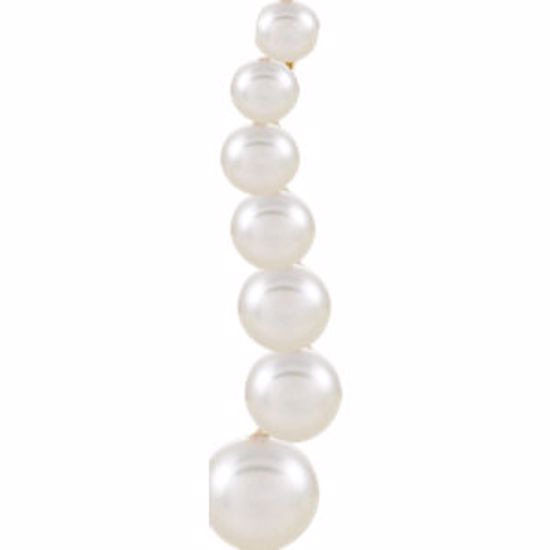66157:60001:P 14kt Yellow Freshwater Cultured Pearl Peandant