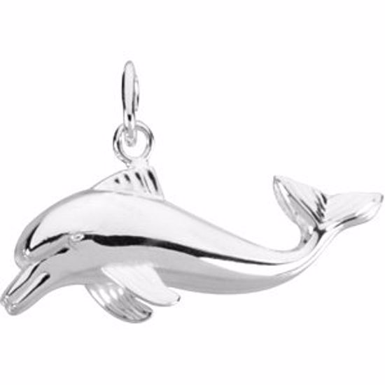 84014:60001:P Dolphin Charm