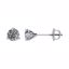 66230:60002:P 14kt White 1/2 CTW Diamond Threaded Post Earrings
