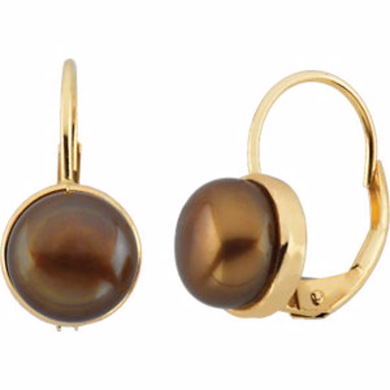 66340:60001:P 14kt Yellow Freshwater Dyed Chocolate Pearl Earrings