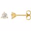 66370:2357810:P Charles & Colvard Moissanite® Earrings