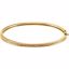 66377:60001:P 14kt Yellow 1/3 CTW Diamond Bangle Bracelet