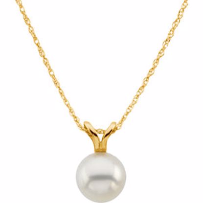69046:616191:P 14kt Yellow 6mm Akoya Pearl 18" Necklace