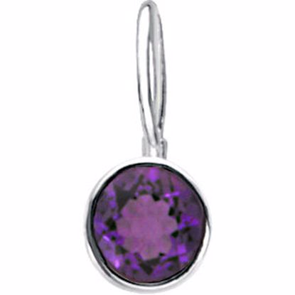 67053:102:P Sterling Silver February Birthstone 11.5x4.5mm Hook Charm/Pendant