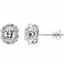 66932:102:P Charles & Colvard Moissanite® & Diamond Halo-Style Earrings