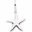 84499:84439:P Gold Fashion Starfish Charm