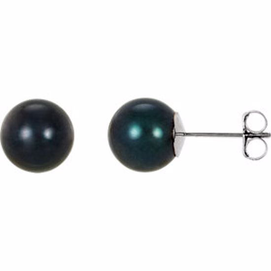 61104:105:P 14kt White 8mm Black Akoya Cultured Pearl Earrings