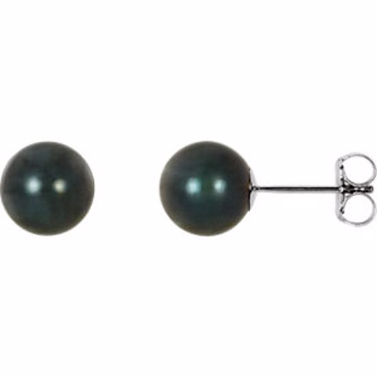 61104:104:P 14kt White 7mm Black Akoya Cultured Pearl Earrings