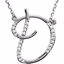 67399:106:P 14kt White Letter "D" 1/8 CTW Diamond Initial 17" Necklace