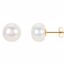 67457:60001:P 14kt Yellow 10mm to 11mm Freshwater Cultured Pearl Earrings