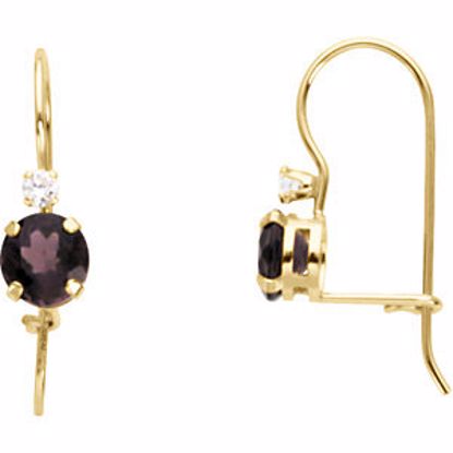 19283:600020:P 14kt Yellow February Youth Birthstone Earring