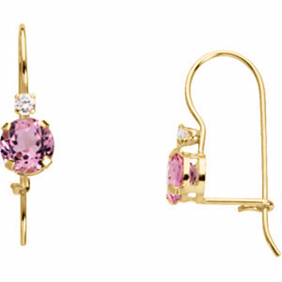 19283:600100:P 14kt Yellow October Youth Birthstone Earring