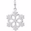 84638:105:P Petite Snowflake Charm
