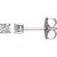 67534:105:P 14kt White 1/5 CTW Diamond Earrings