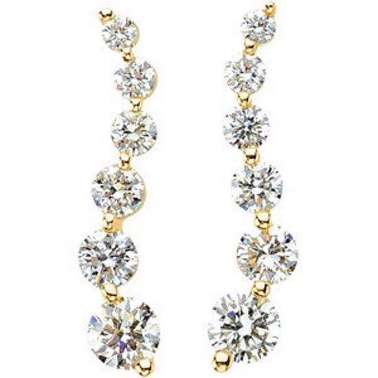 67723:60002:P Journey Diamond Earrings