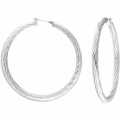 E195:103:P Immerse Plated Amalfi&trade; Stainless Steel Twisted Hoop Earrings