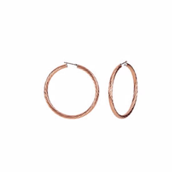 E195:112:P Immerse Plated Amalfi&trade; Stainless Steel Twisted Hoop Earrings