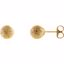 67840:102:P Stardust Ball Earrings 