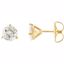 66370:235870:P Charles & Colvard Moissanite® Earrings