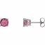 68619:130:P 14kt White 6mm Round Pink Tourmaline Friction Post Stud Earrings