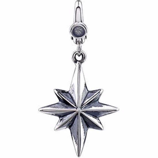 69391:100:P STAR CHARM