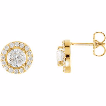 28308:60009:P 14kt Yellow 1 3/8 CTW Diamond Halo-Styled Earrings