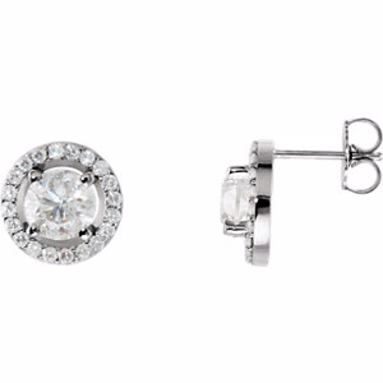 28308:60005:P 14kt White 2 1/2 CTW Diamond Halo-Styled Earrings