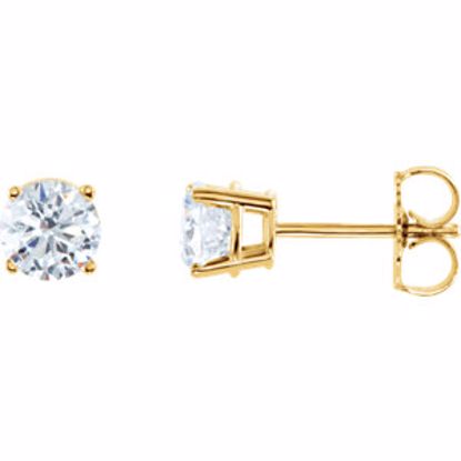 1874:60027:P 14kt Yellow 1 CTW Diamond Earrings