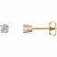 1874:60021:P 14kt Yellow 1/3 CTW Diamond Earrings